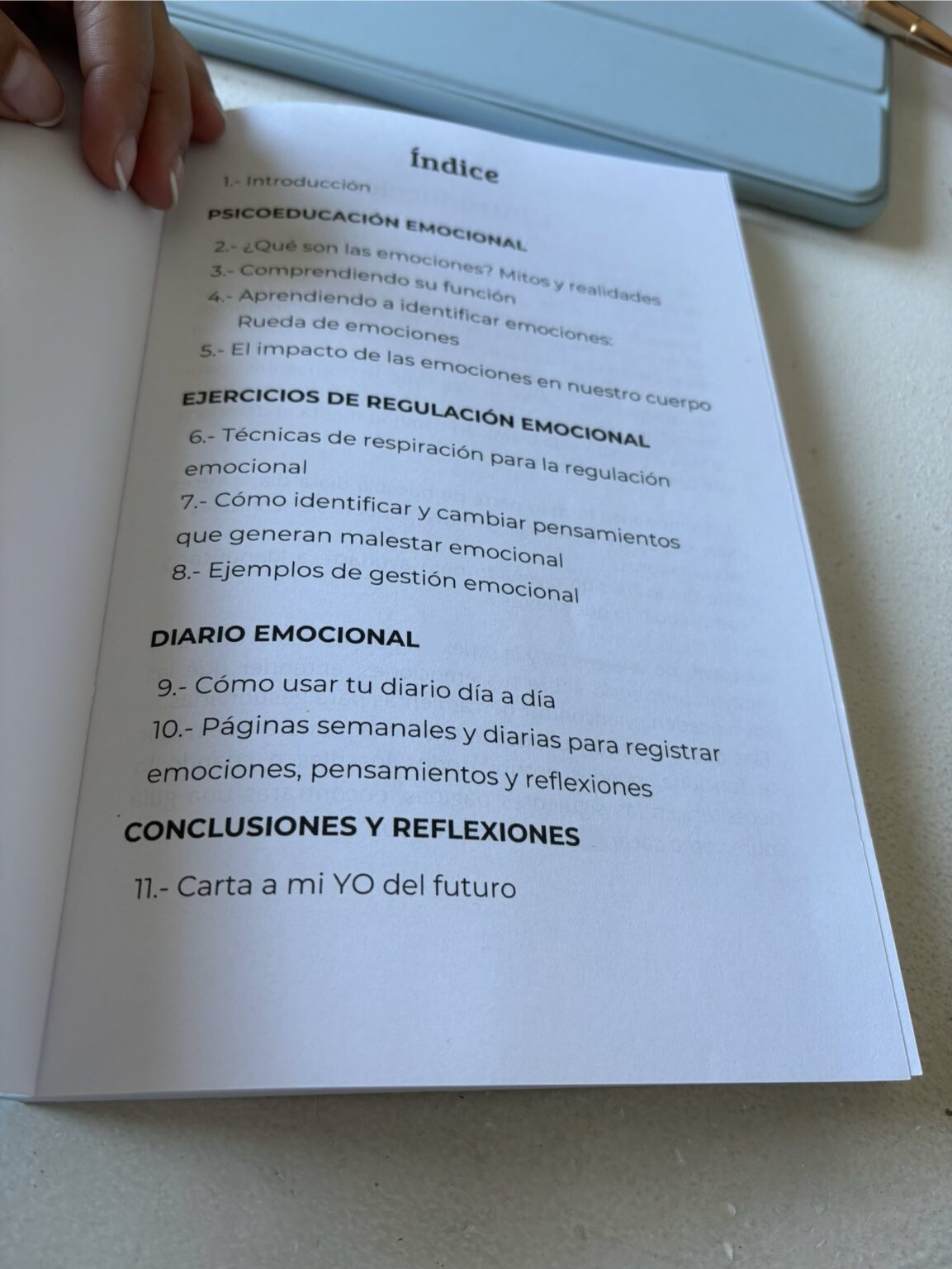 Diario de Emociones - interior